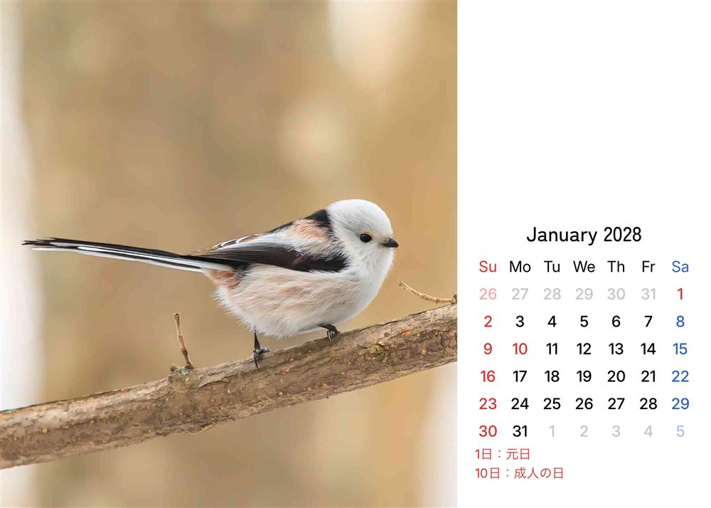 フォトカレンダーサンプル