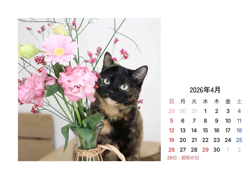 フォトカレンダーサンプル