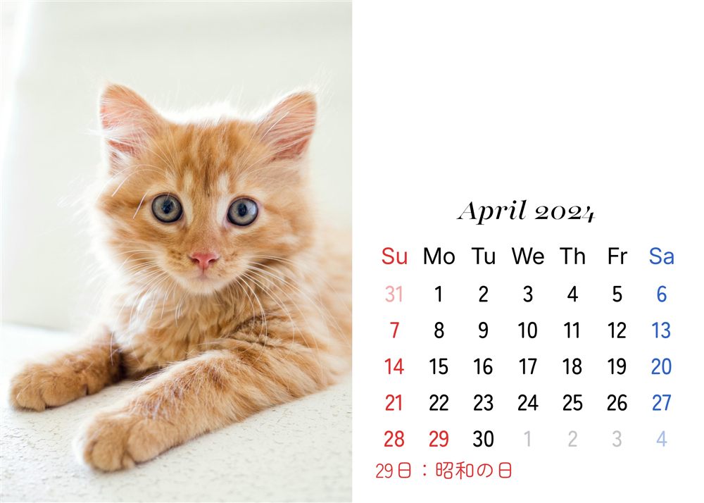 フォトカレンダーサンプル