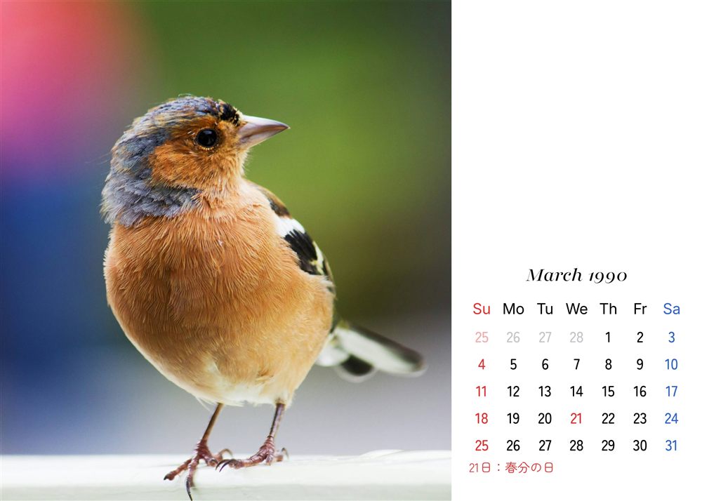 フォトカレンダーサンプル