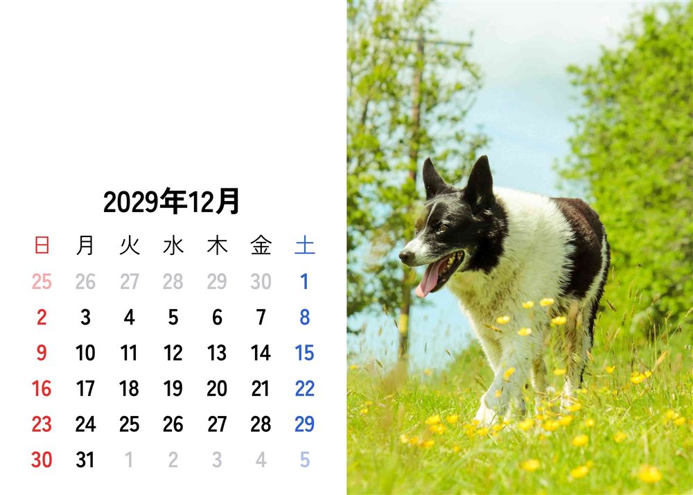 フォトカレンダーサンプル